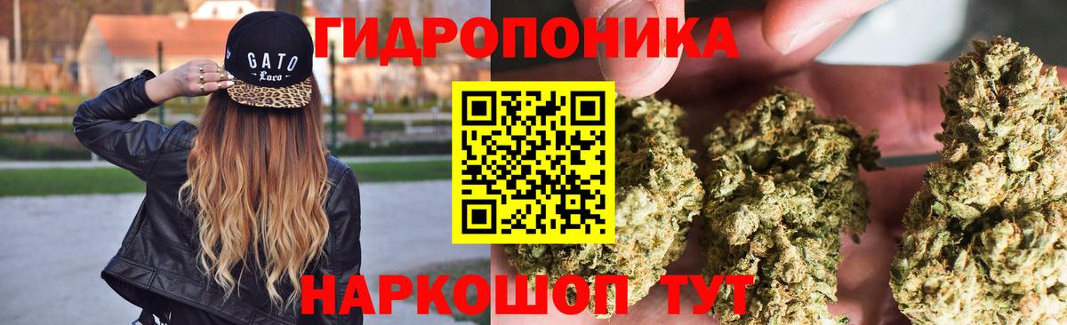 МАРИХУАНА MAZAR  МАРИХУАНА семена  Вход с VPN  Кудымкар 